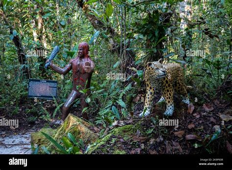 The Curupira, a Protector of the Amazon Who Walks Backwards! Unveiling the Secrets of Brazil’s Mystical Forest Guardian