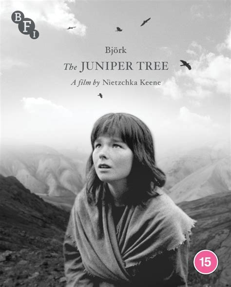 The Juniper Tree: A Gruesome Tale of Jealousy, Betrayal, and Supernatural Vengeance!